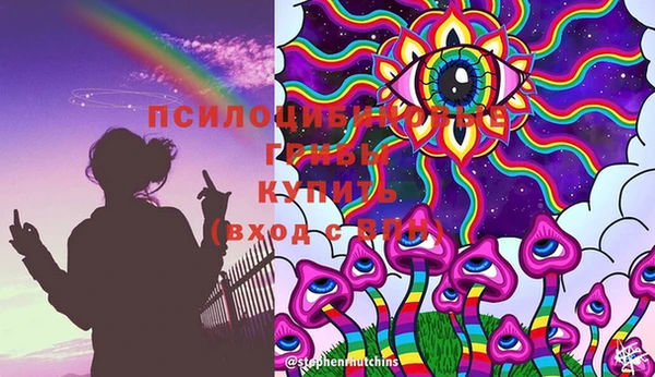 трава Арсеньев