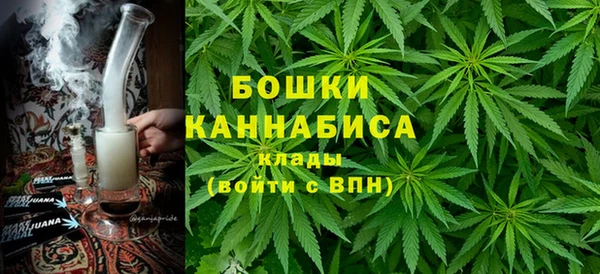 гидропоника Пересвет
